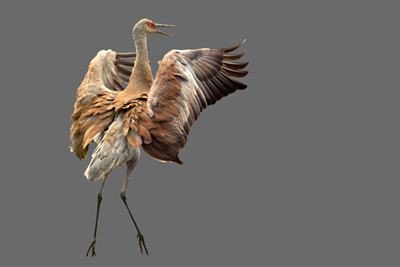 Running Charge Threat