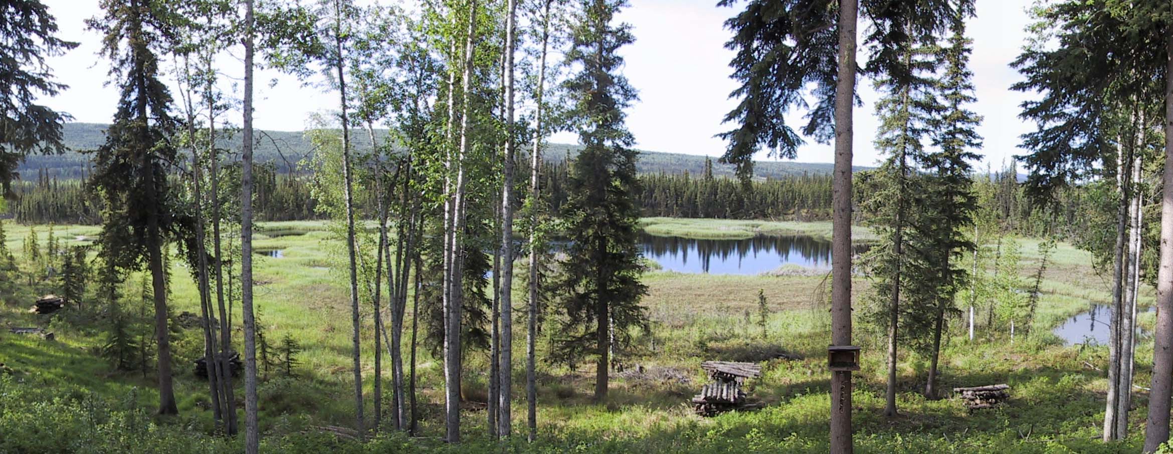 June pond