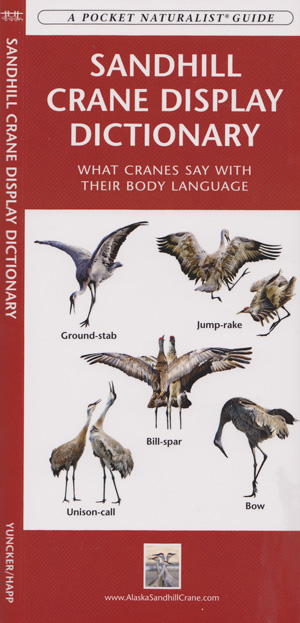 display guide